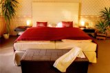 GRANDHOTEL PRAHA foto