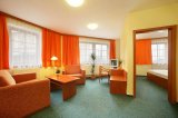 HOTEL ZÁVIŠ Z FALKENŠTEJNA foto