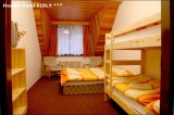 HORSKÝ HOTEL VIDLY foto