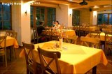 HORSKÝ HOTEL VIDLY foto
