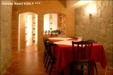 HORSKÝ HOTEL VIDLY foto