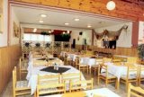 HOTEL BIELA MEDVEDICA foto