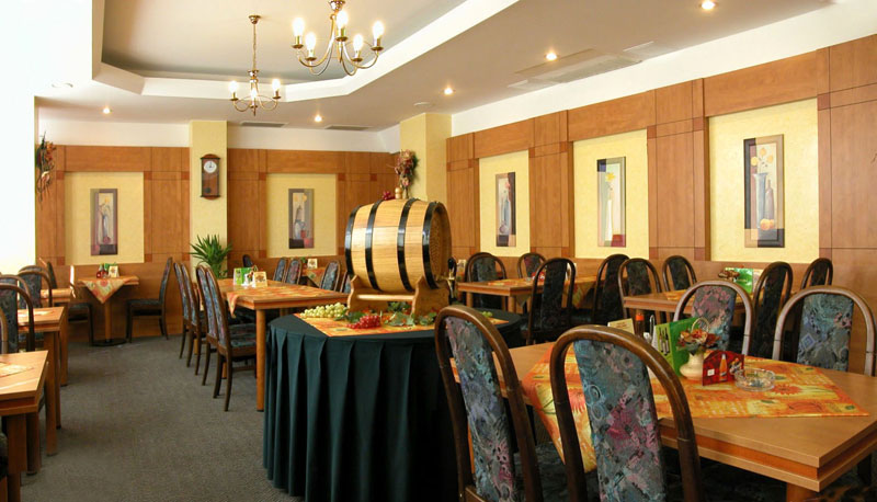 Hotel Panon v Hodoníně: ideální pro pobyty se sportem a vinnými sklepy v okolí