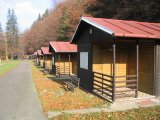 KEMP DERY KAJLOVEC foto