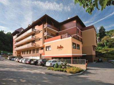 REZIDENCE AMBRA WELLNESS HOTEL foto