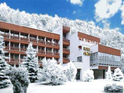 HOTEL FLÓRA foto