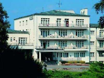 LÁZEŇSKÝ HOTEL PALACE foto