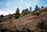 Moravsk� kras foto