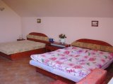 PENZION TERMÁL foto