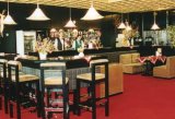 HOTEL SATEL foto