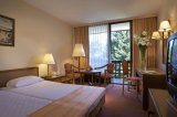 HOTEL DANUBIUS HEALTH SPA RESORT SÁRVÁR foto