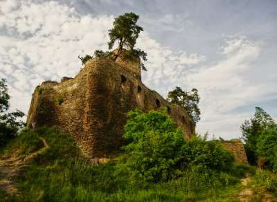 Hrad Gutštejn foto