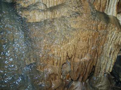 Jeskyně mrtvých netopýrů foto