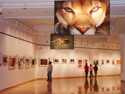 Maďarské přírodní muzeum  foto