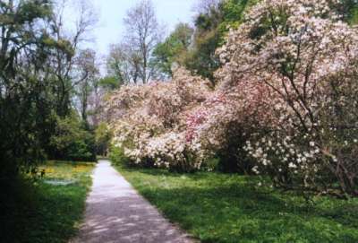 Arboretum Szeleste  foto