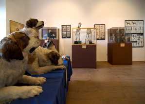 Europäische Hundemuseum foto