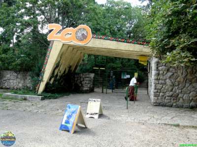 Zoo Pécs  foto