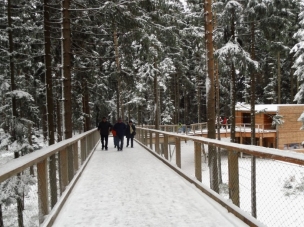 Stezska v korunách stromů foto