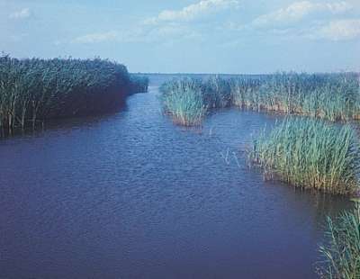 Neziderské jezero foto