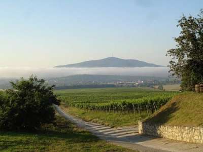 Vinařská oblast Tokaj foto