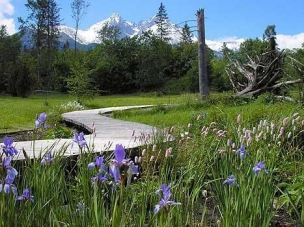 Botanická zahrada Tatranská Lomnica foto