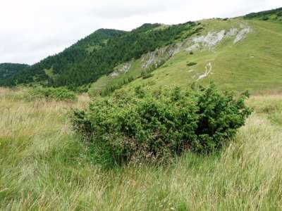 Přírodní park Suchá Dolina foto