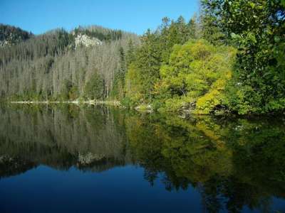 Plešné jezero foto