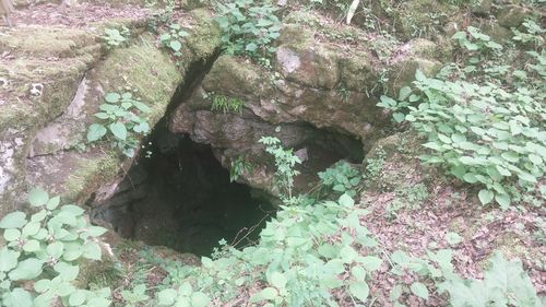 Cvingerska jama foto