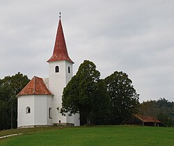 Šmohor foto