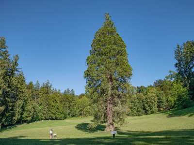 Energijski park Sveta Trojica foto