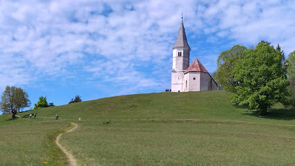 Rastišče Kluzijevega svišča  foto