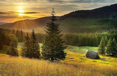 Polana Kalatówki foto