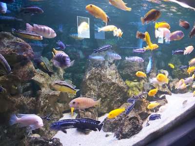 Oceanarium Kolobřeh foto