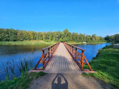 Labutí jezero Łeba foto