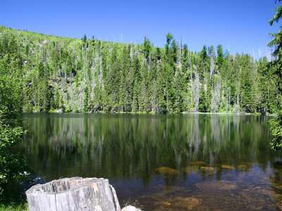 Prášilské jezero foto