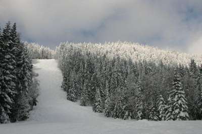 Ski areál Špičák foto