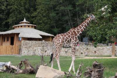 ZOO Jihlava foto