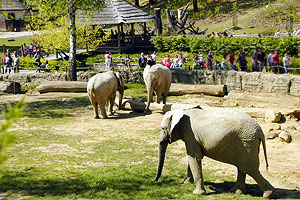 ZOO a zámek Zlín - Lešná foto