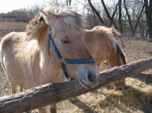 Zoopark Zelčín foto