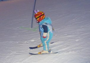 Ski areál Přívrat foto