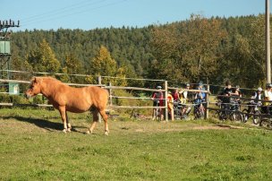 ZÁMECKÝ STATEK BÝKOV foto