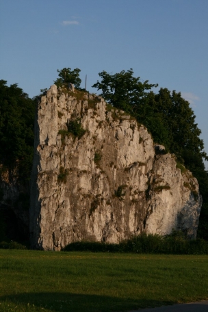 Hřebenáč Sloup