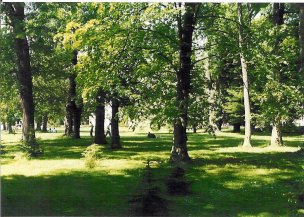 LD Veľká Fatra - park