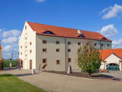 PYTLOUN CHATEAU HOTEL CTĚNICE foto