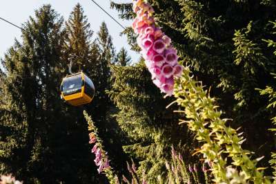 Okolí Elements Hotelu & Spa