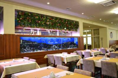 Restaurace