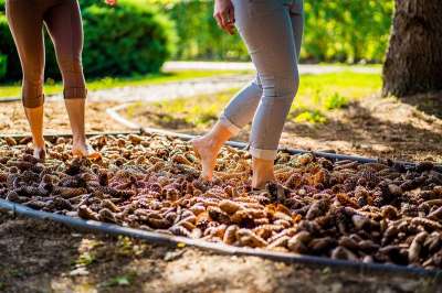 Fitpark Smaragd