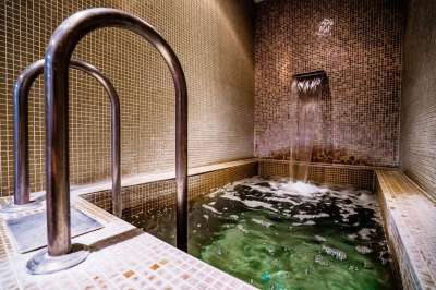 Wellness