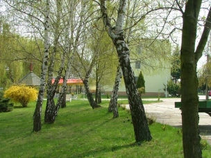 HOTEL ROYAL DIAMOND foto