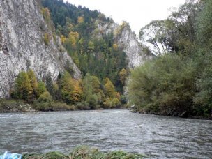 PENZION ZORA foto